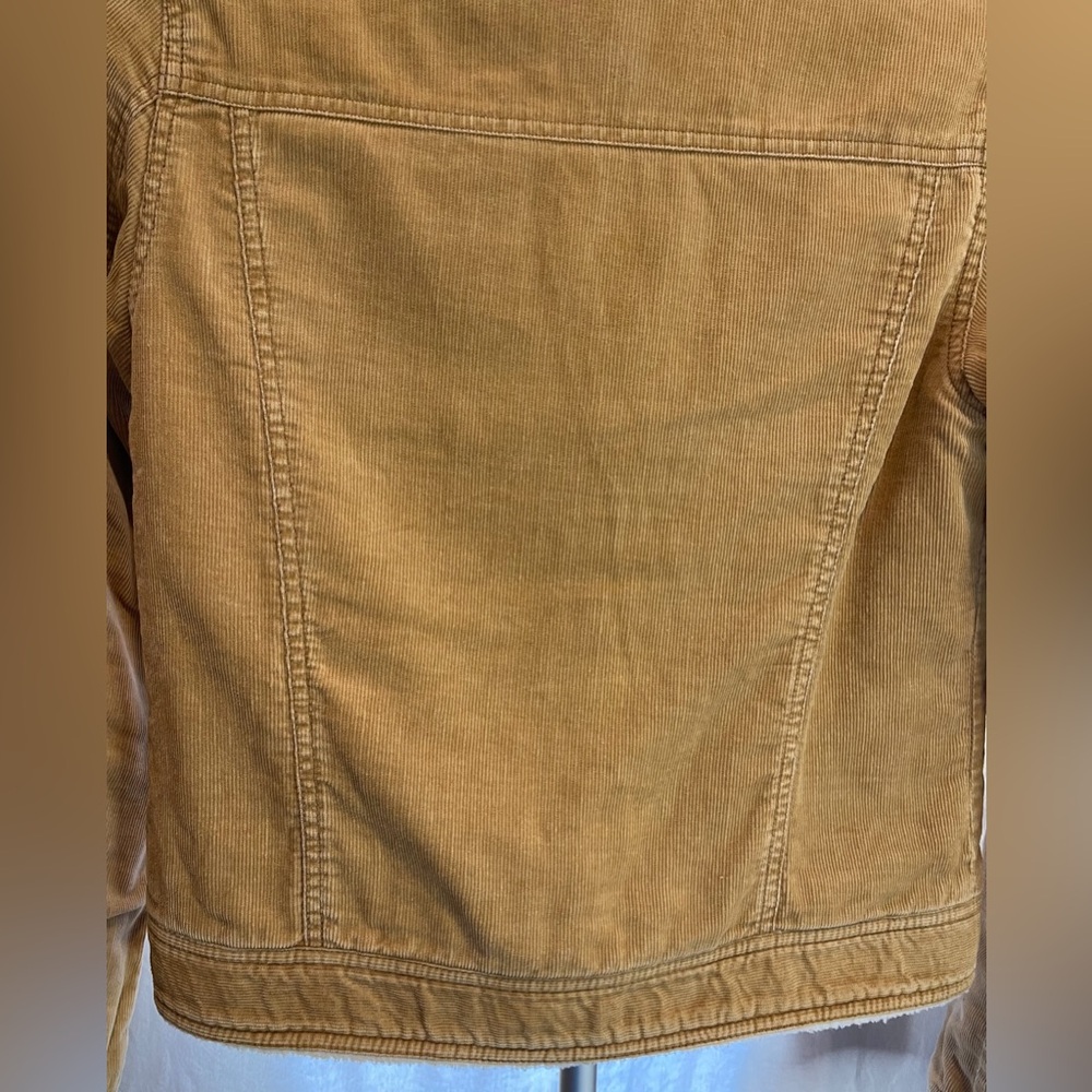 Vintage Hollister Corduroy Jacket W/Fleece Lining, Waist Length, Tan, Medium - Picture 7 of 8